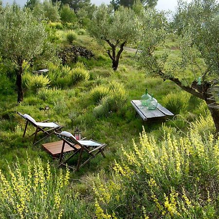 Bed and Breakfast Shariqua (Adults Only) Jérica Exterior foto
