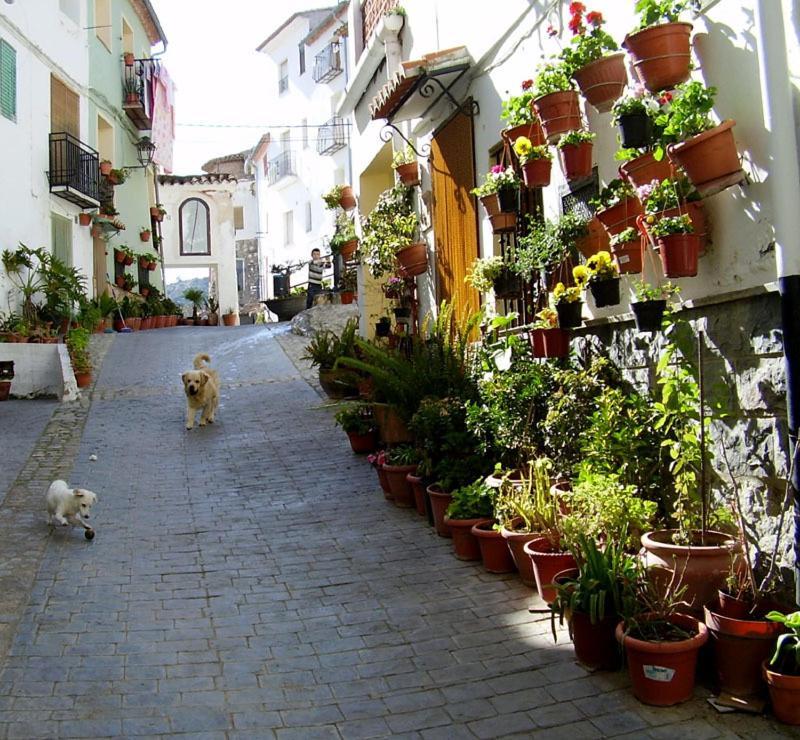 Bed and Breakfast Shariqua (Adults Only) Jérica Exterior foto