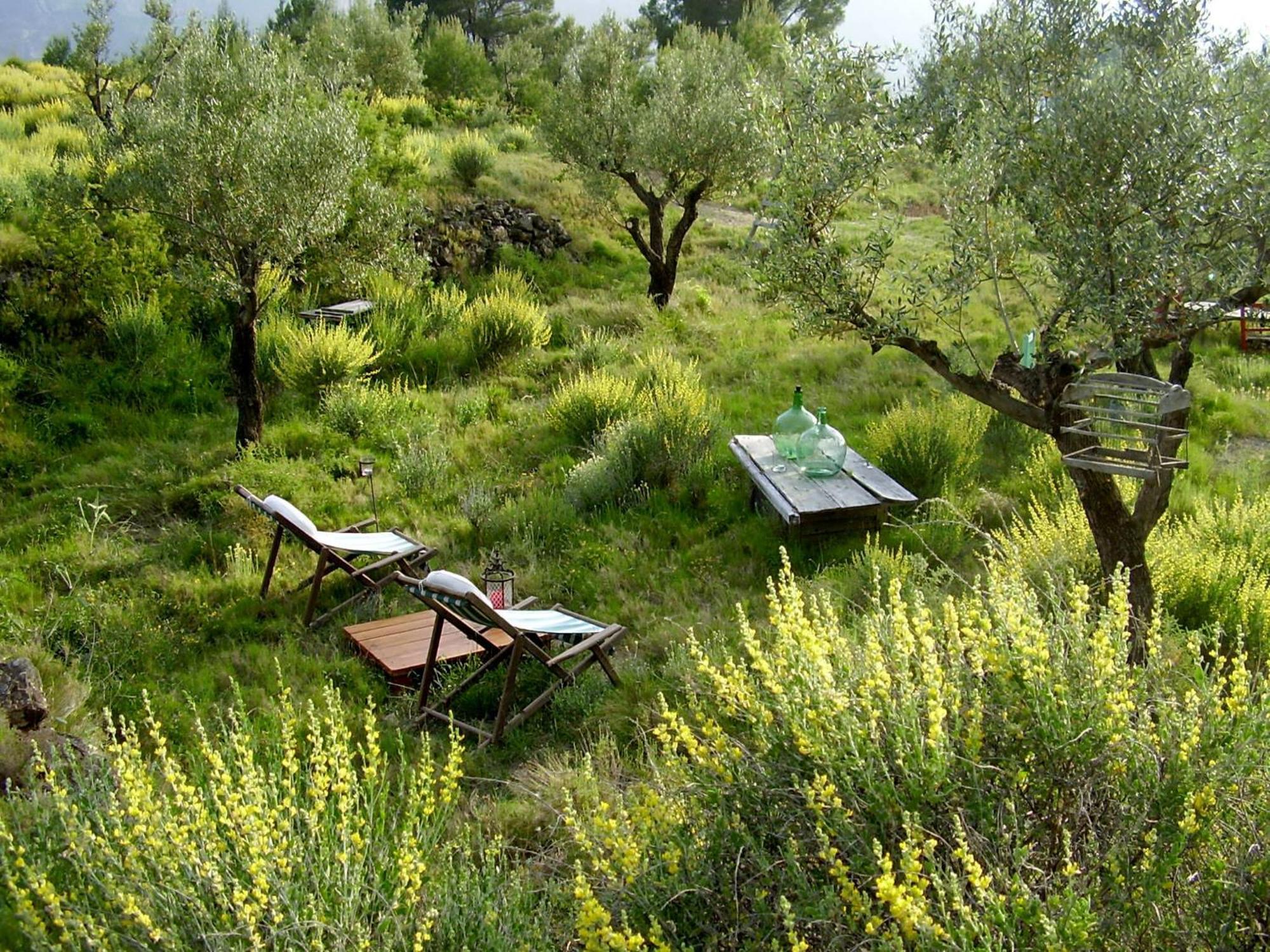 Bed and Breakfast Shariqua (Adults Only) Jérica Exterior foto