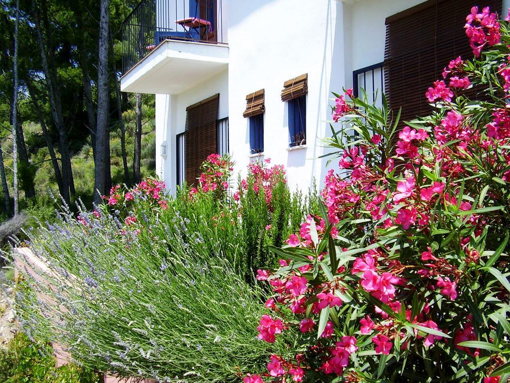 Bed and Breakfast Shariqua (Adults Only) Jérica Exterior foto
